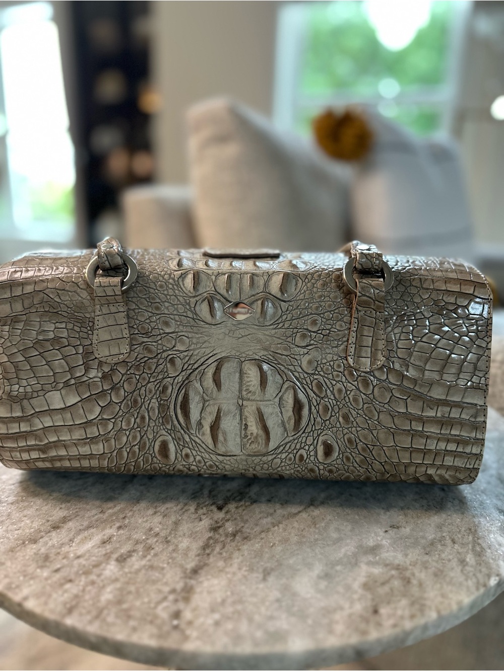 Genuine Leather Croc-Embossed Leather Shoulder Bag in Taupe/Green